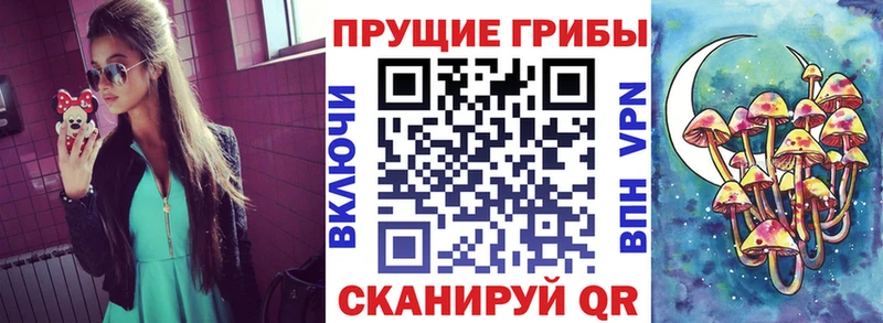 OMG зеркало  Далматово  Галлюциногенные грибы ЛСД 