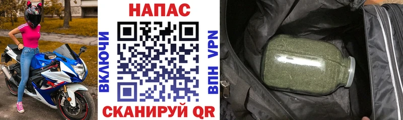 Конопля сатива  купить   Далматово 